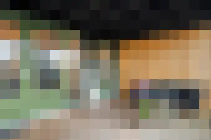 Herxen 33 Wijhe thumbnail 38