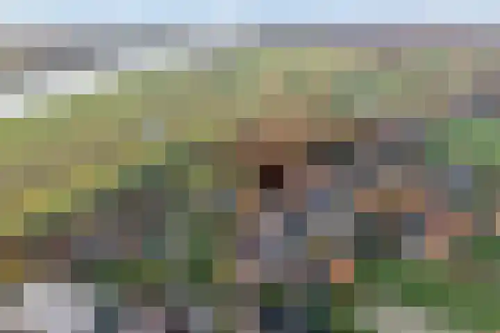 Herxen 33 Wijhe thumbnail 4