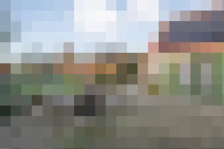 Herxen 33 Wijhe thumbnail 40