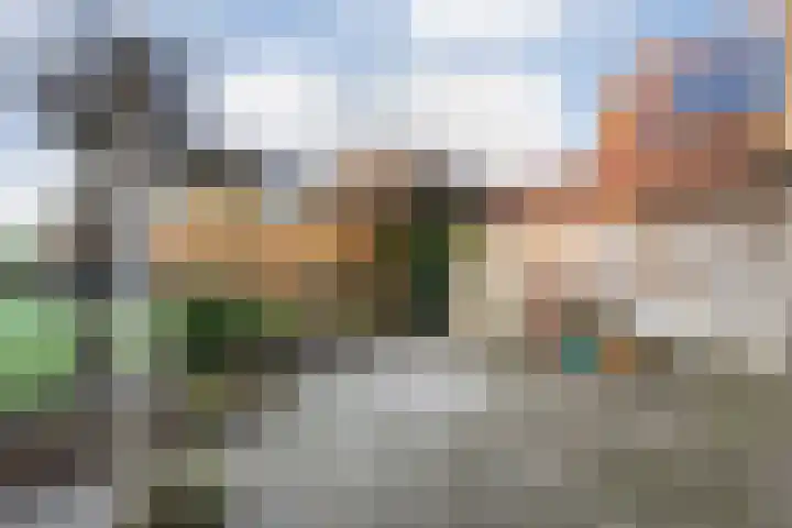 Herxen 33 Wijhe thumbnail 41
