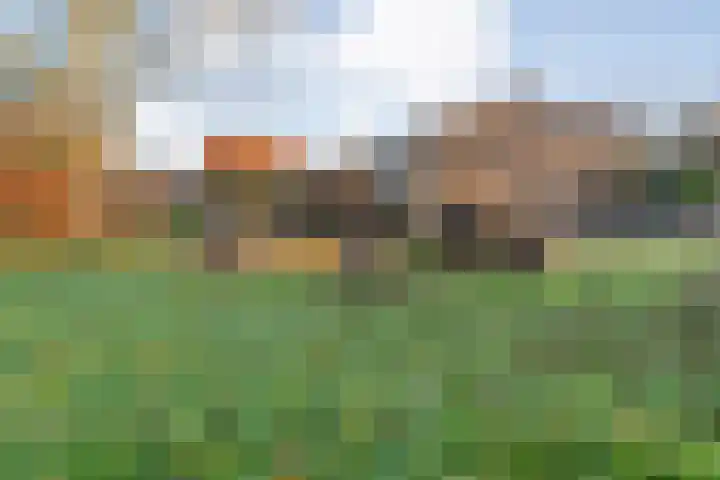 Herxen 33 Wijhe thumbnail 49