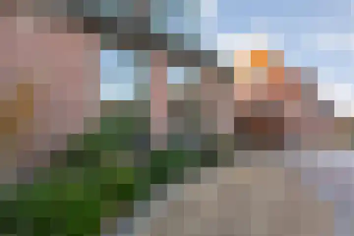 Herxen 33 Wijhe thumbnail 5