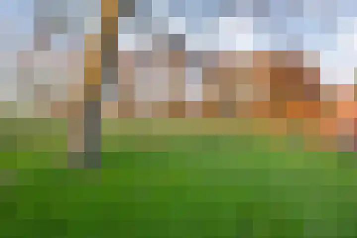 Herxen 33 Wijhe thumbnail 50