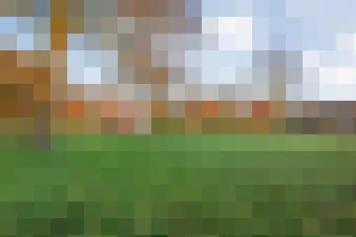Herxen 33 Wijhe thumbnail 51