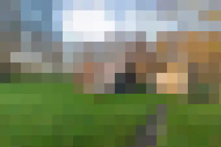 Herxen 33 Wijhe thumbnail 52