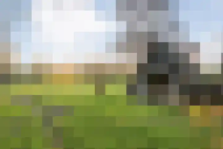 Herxen 33 Wijhe thumbnail 53