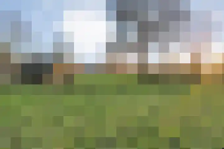Herxen 33 Wijhe thumbnail 54