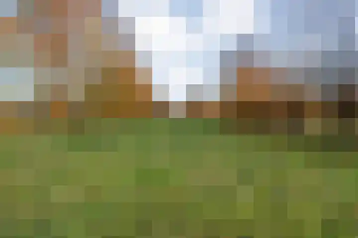 Herxen 33 Wijhe thumbnail 55
