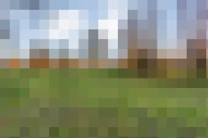 Herxen 33 Wijhe thumbnail 56