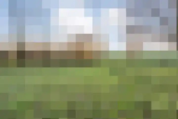 Herxen 33 Wijhe thumbnail 57