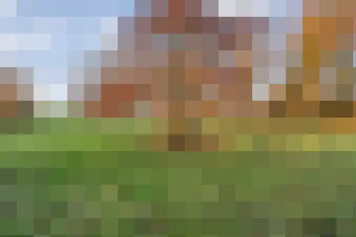 Herxen 33 Wijhe thumbnail 59