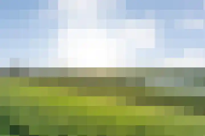 Herxen 33 Wijhe thumbnail 60