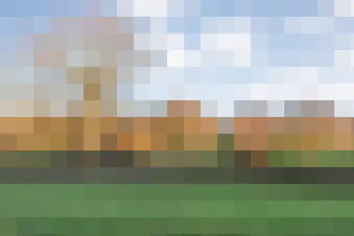 Herxen 33 Wijhe thumbnail 61