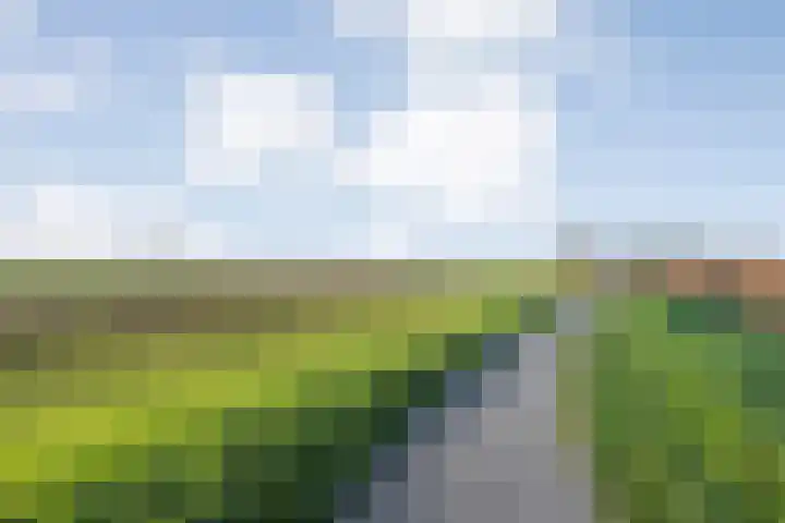 Herxen 33 Wijhe thumbnail 63