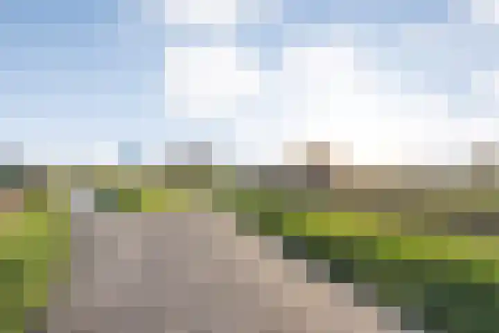 Herxen 33 Wijhe thumbnail 64