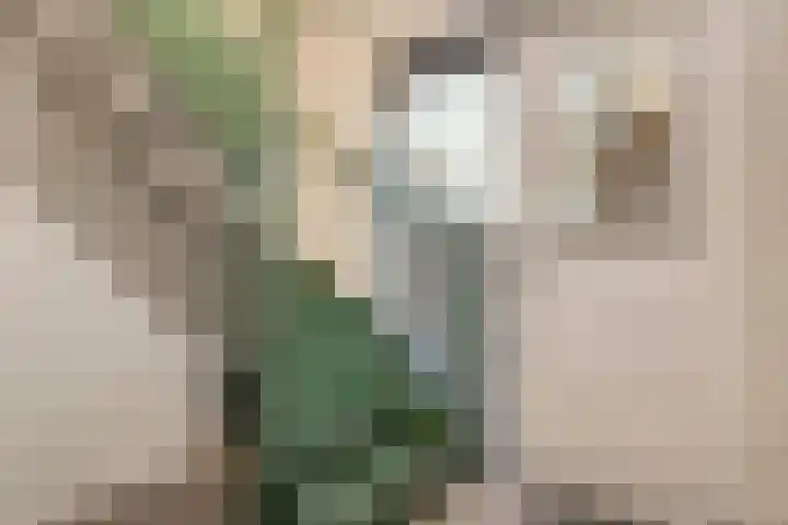 Herxen 33 Wijhe thumbnail 7