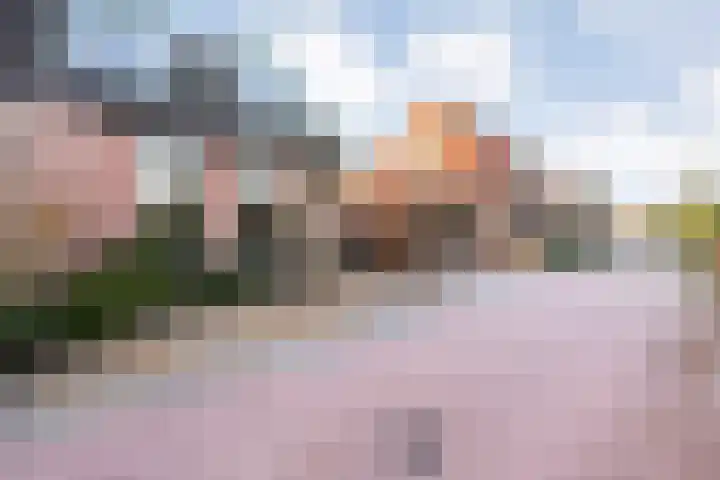 Herxen 33 Wijhe thumbnail 76
