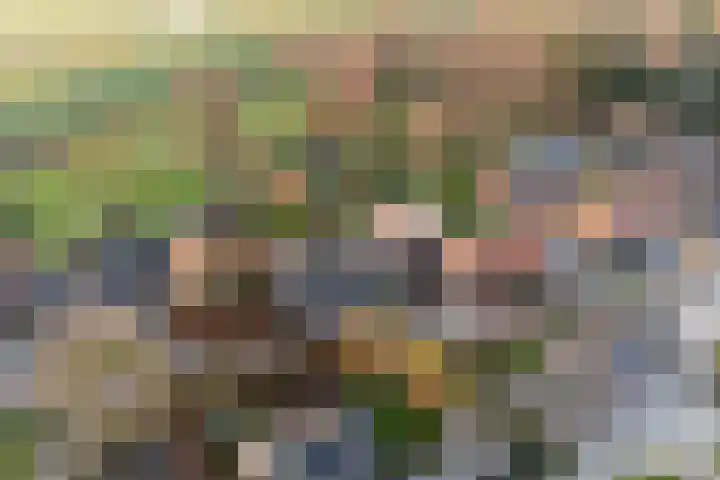 Herxen 33 Wijhe thumbnail 78