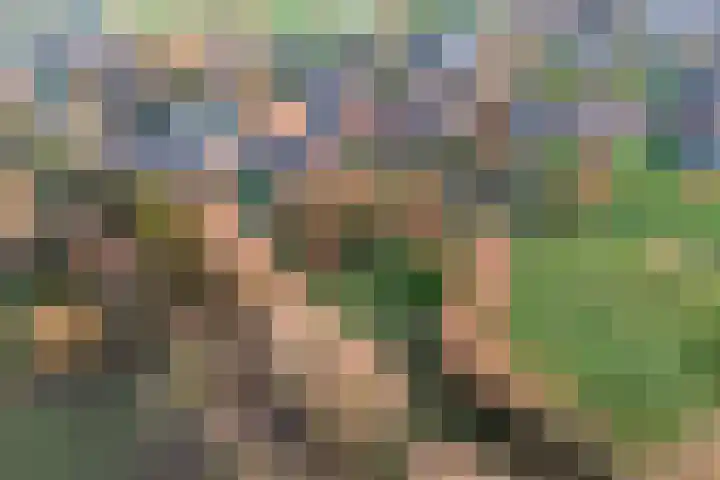 Herxen 33 Wijhe thumbnail 79