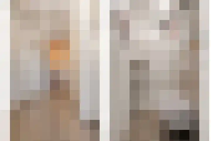 Herxen 33 Wijhe thumbnail 8