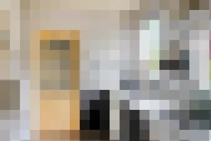 Herxen 53 Wijhe thumbnail 10
