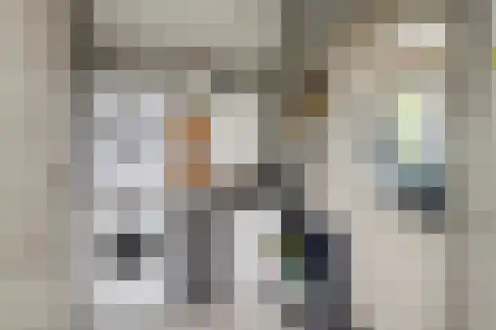 Herxen 53 Wijhe thumbnail 11