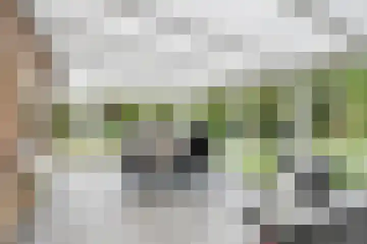 Herxen 53 Wijhe thumbnail 14