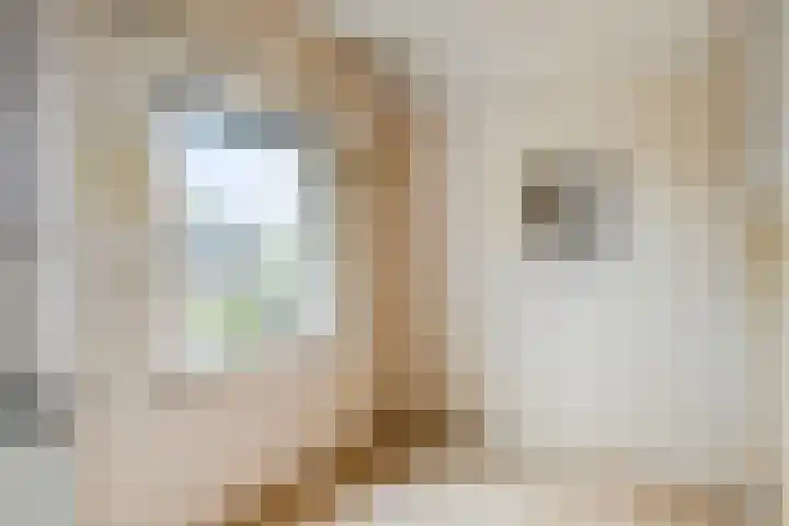 Herxen 53 Wijhe thumbnail 21
