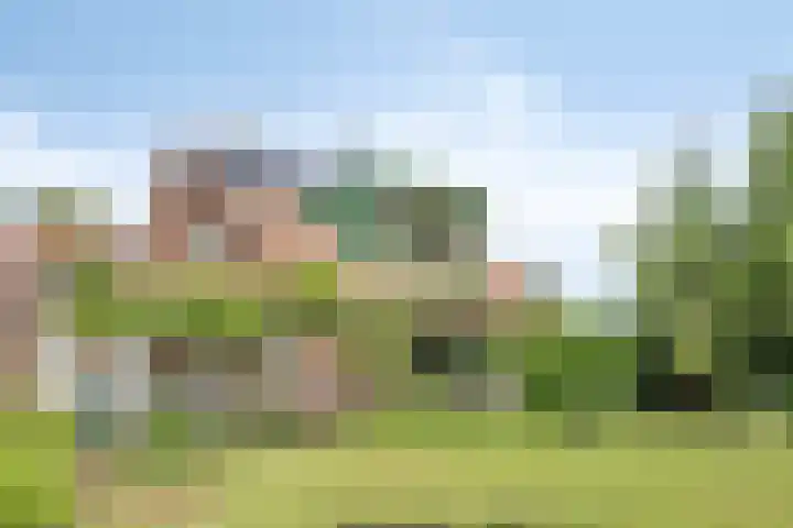 Herxen 53 Wijhe thumbnail 27