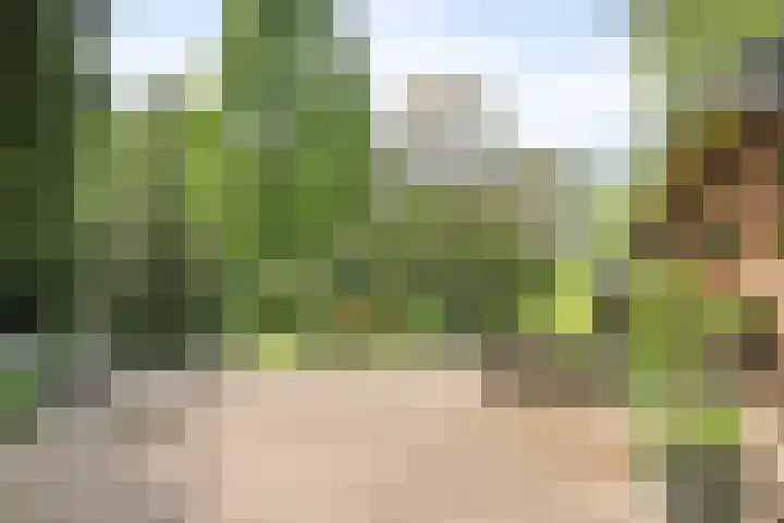 Herxen 53 Wijhe thumbnail 29