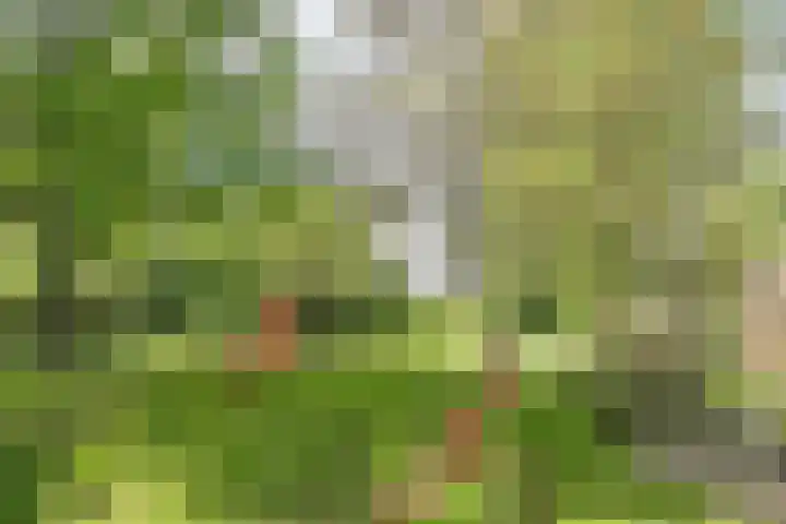 Herxen 53 Wijhe thumbnail 30