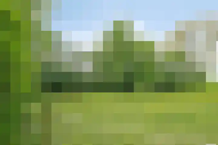 Herxen 53 Wijhe thumbnail 31