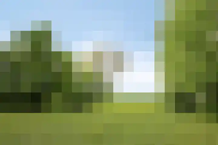 Herxen 53 Wijhe thumbnail 32
