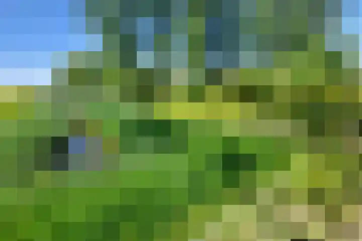 Herxen 53 Wijhe thumbnail 33