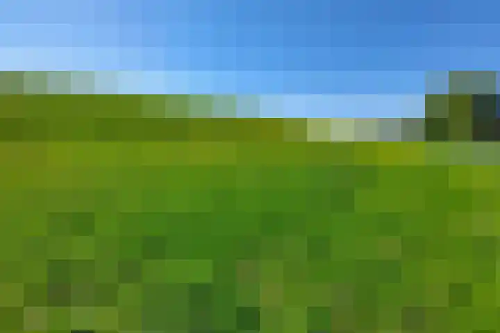 Herxen 53 Wijhe thumbnail 34