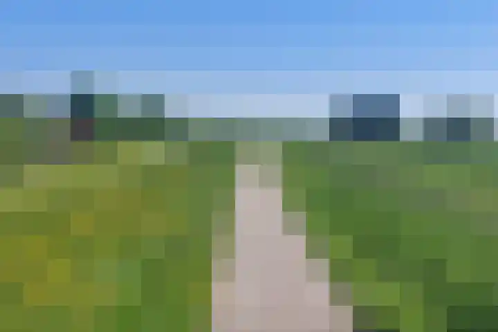 Herxen 53 Wijhe thumbnail 35