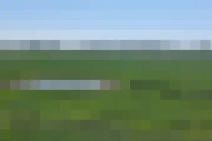 Herxen 53 Wijhe thumbnail 36