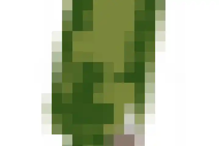 Herxen 53 Wijhe thumbnail 44