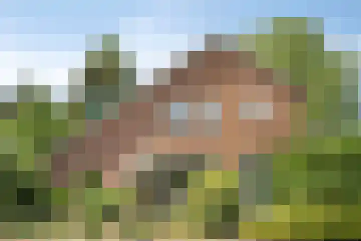 Herxen 53 Wijhe thumbnail 45
