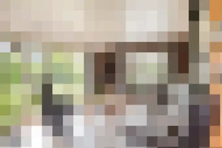 Herxen 53 Wijhe thumbnail 6