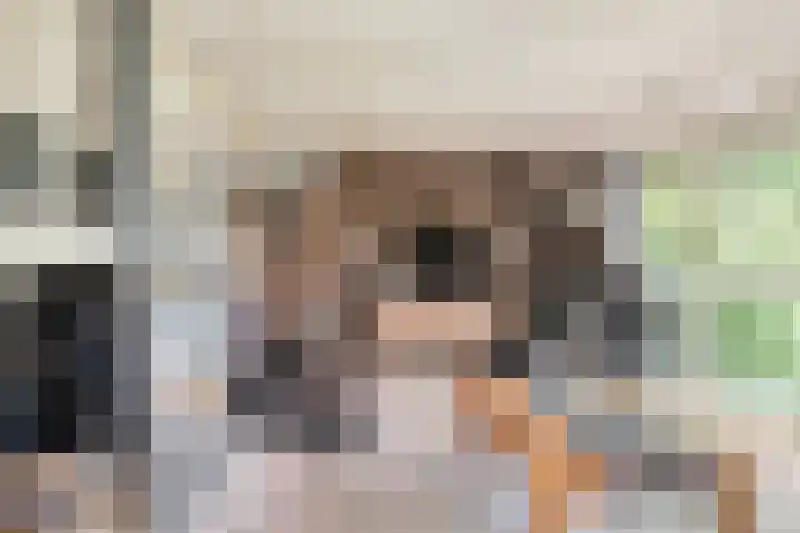 Herxen 53 Wijhe thumbnail 8