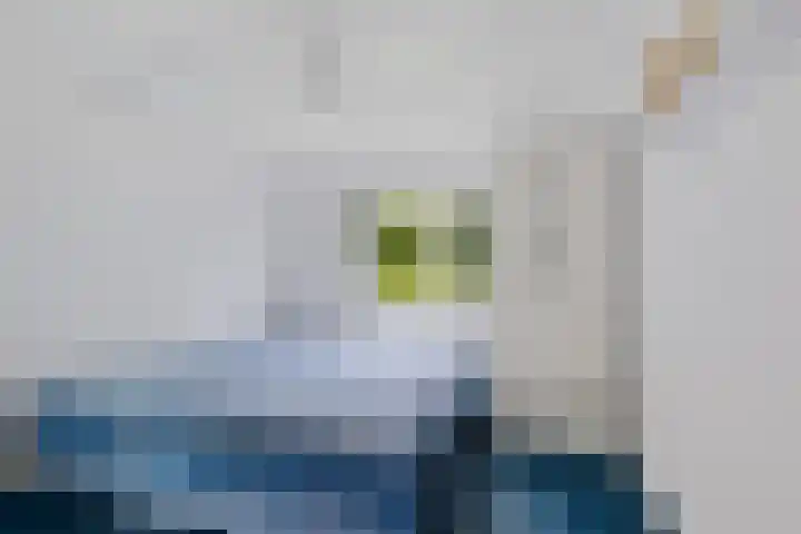 Herxen 83 Wijhe thumbnail 11