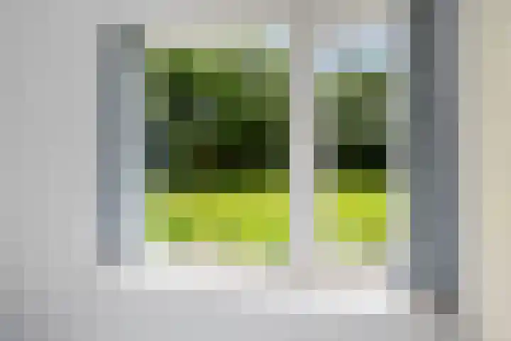 Herxen 83 Wijhe thumbnail 12