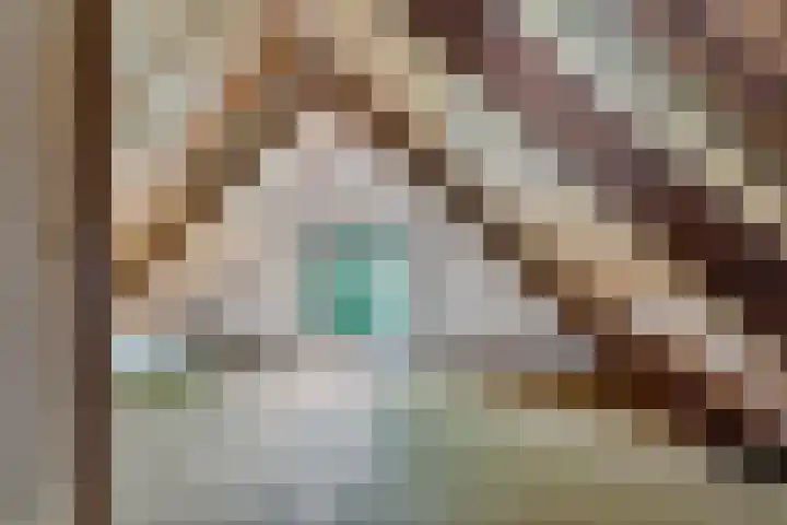 Herxen 83 Wijhe thumbnail 17