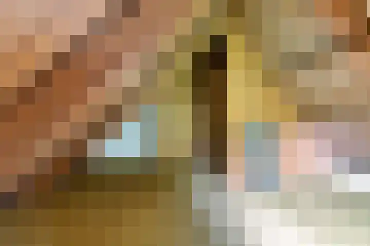 Herxen 83 Wijhe thumbnail 18