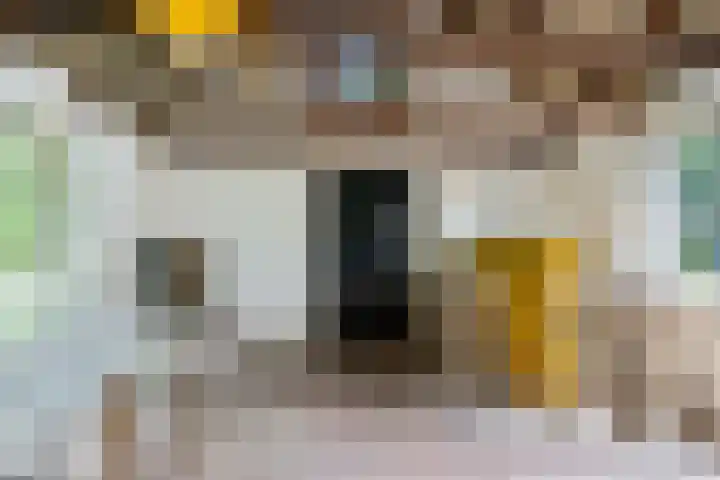 Herxen 83 Wijhe thumbnail 21