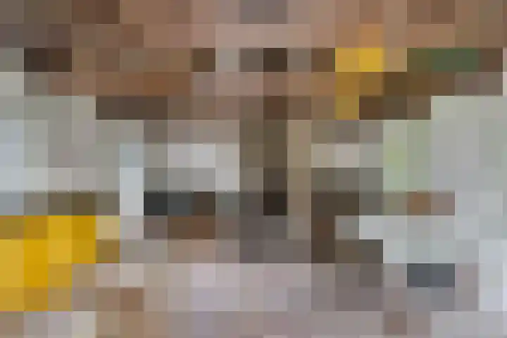 Herxen 83 Wijhe thumbnail 22