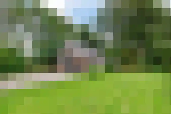 Herxen 83 Wijhe thumbnail 25