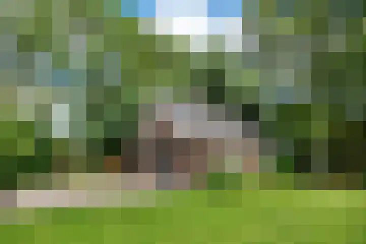 Herxen 83 Wijhe thumbnail 26