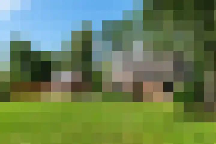 Herxen 83 Wijhe thumbnail 27